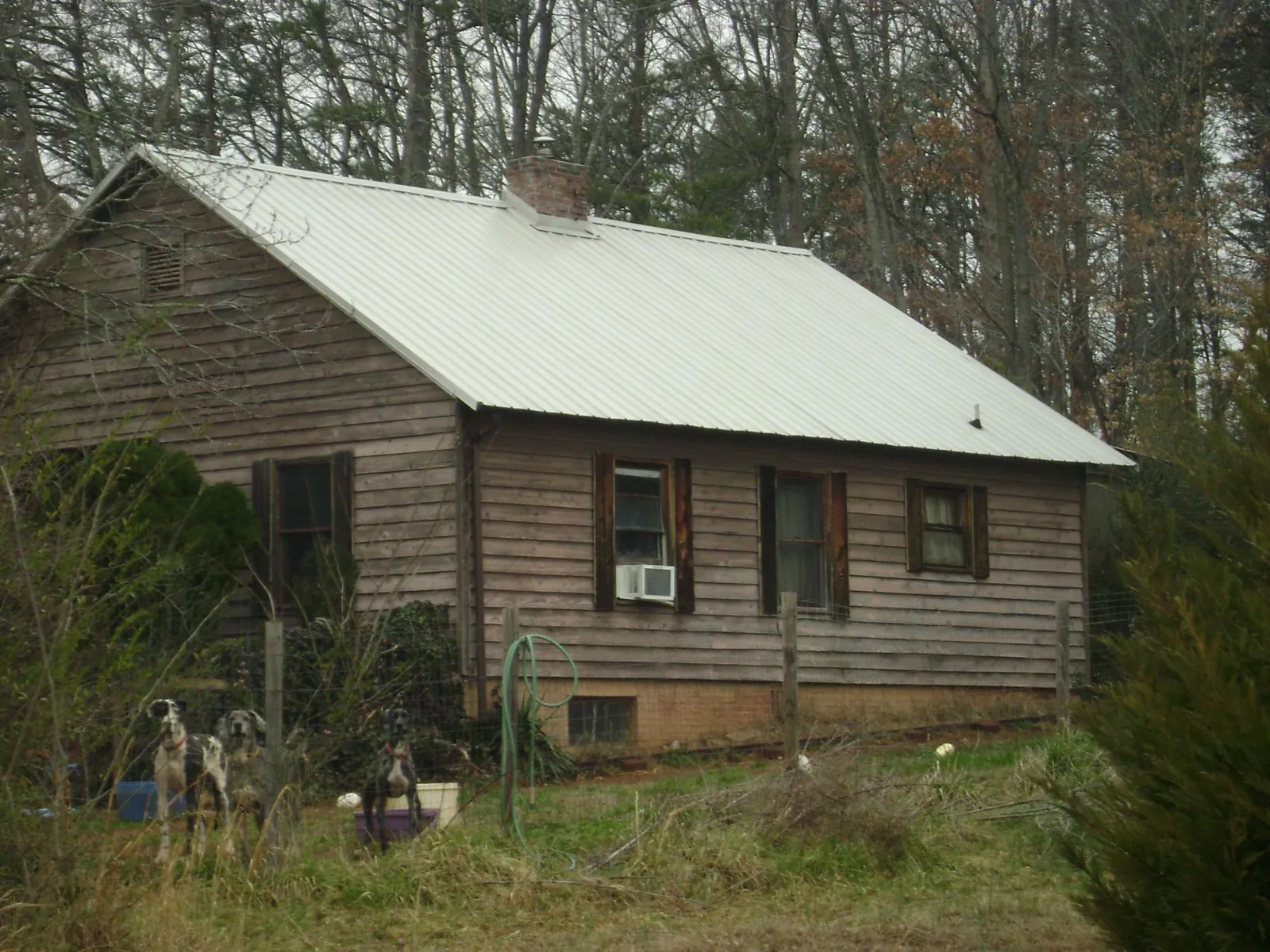 White metal roof on an old wood sided farmhouse, from a Metal Roof Installation job in Staples